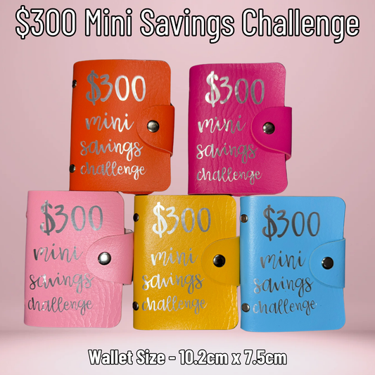 $300 Mini Wallet Savings Challenge